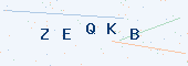CAPTCHA image - enter the characters shown